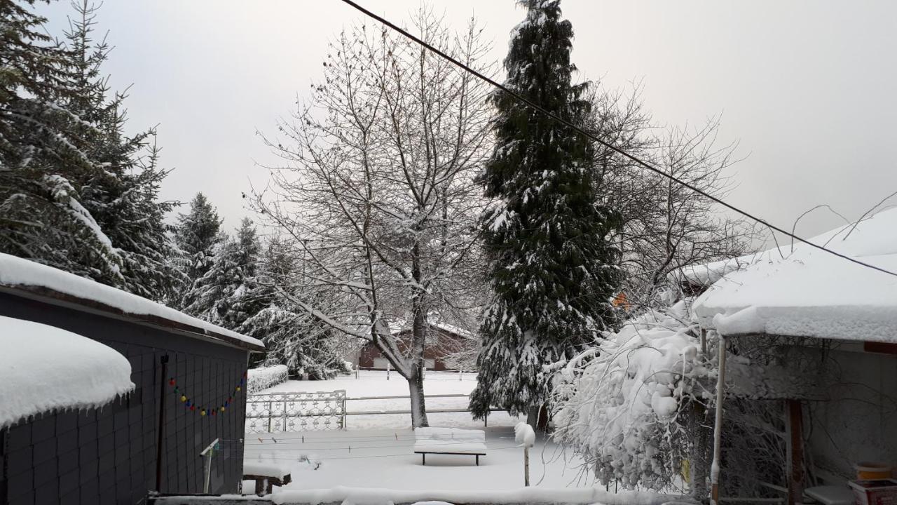 Ferienwohnungen! Kleine Bungalows Mit Terrasse! Stockhausen-Illfurth 외부 사진